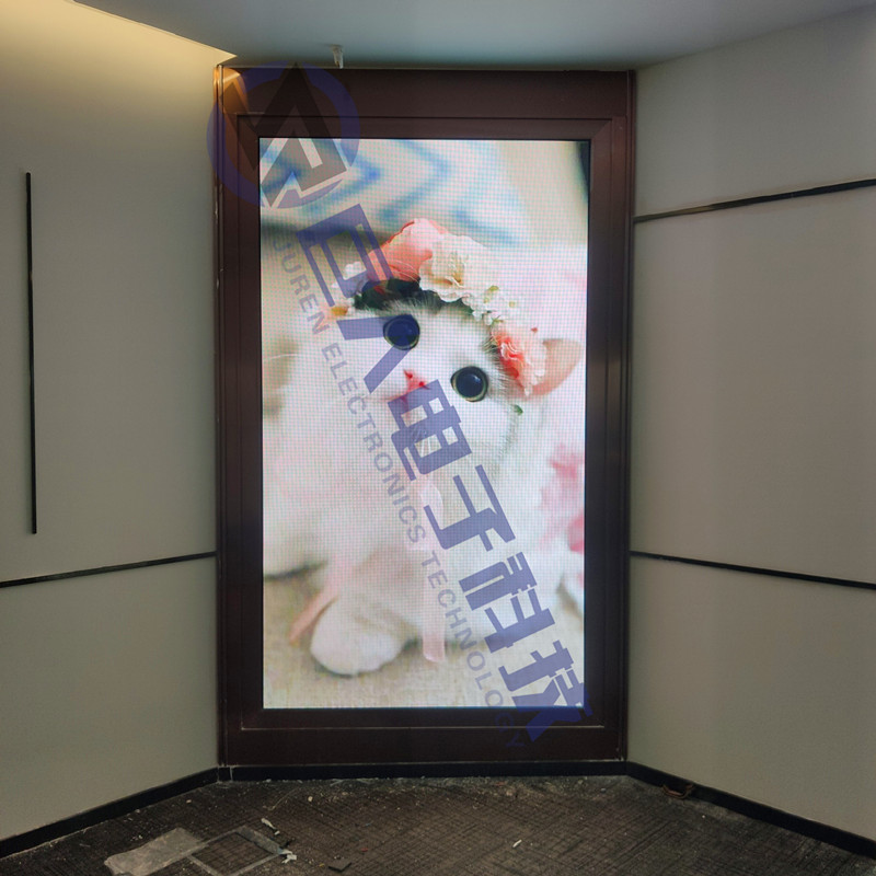 ������¡�㳡ĳ��˾p2